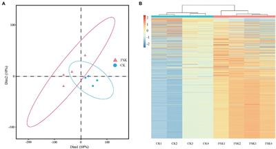 Effects of Fruit Shading on Gene and Protein Expression During Starch and Oil Accumulation in Developing Styrax tonkinensis Kernels